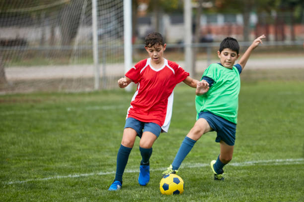 新援的适应 新援的适应